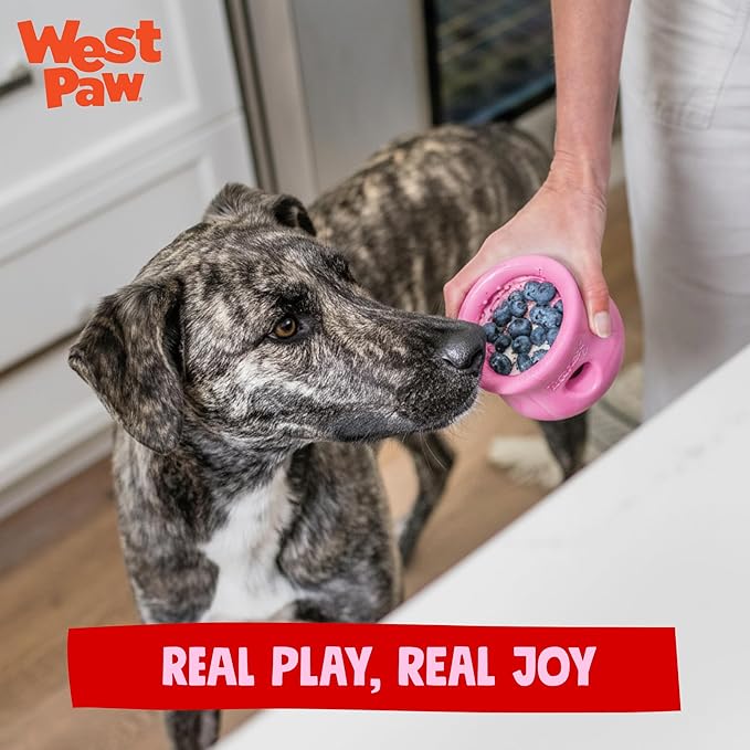 WEST PAW Zogoflex Toppl Interactive Treat Dispensing Puzzle Dog Toy for Mental Stimulation & Enrichment-Holds Kibble & Treats-Lickable, Freezable & Dishwasher Safe-Made in USA-Large-Candy Swirl
