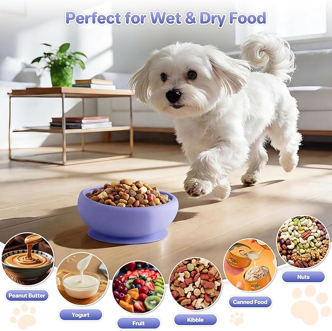 Dog Lick Bowl Slow Feeder with Slanted Anti-Spill Design, Extra-Thick Bite-Resistant Rim, Strong Suction Base, Freezer Safe for Frozen Treats — A Cleaner Alternative to Lick Mats for Dogs (Light Blue)