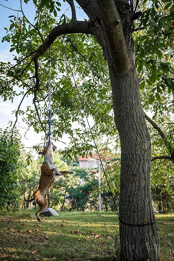 YES4QUALITY Flirt Pole for Dogs, 2 Durable Spring Poles with Strong Dog Rope Toy, Heavy Duty Lure Pole for Dogs of Any Size, Dog Toy for Fun Obedience Training & Exercise, Pull & Tug of War Toy