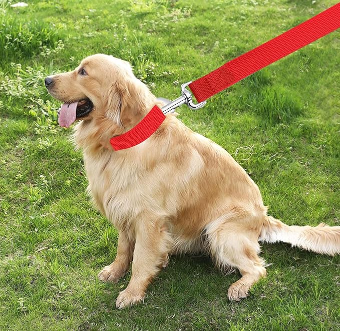 TAIAN 4FT/5FT/6FT Strong Dog Leash, Nylon Dog Leashes for Small Medium Large Dogs (1 in x 4 ft, Red)