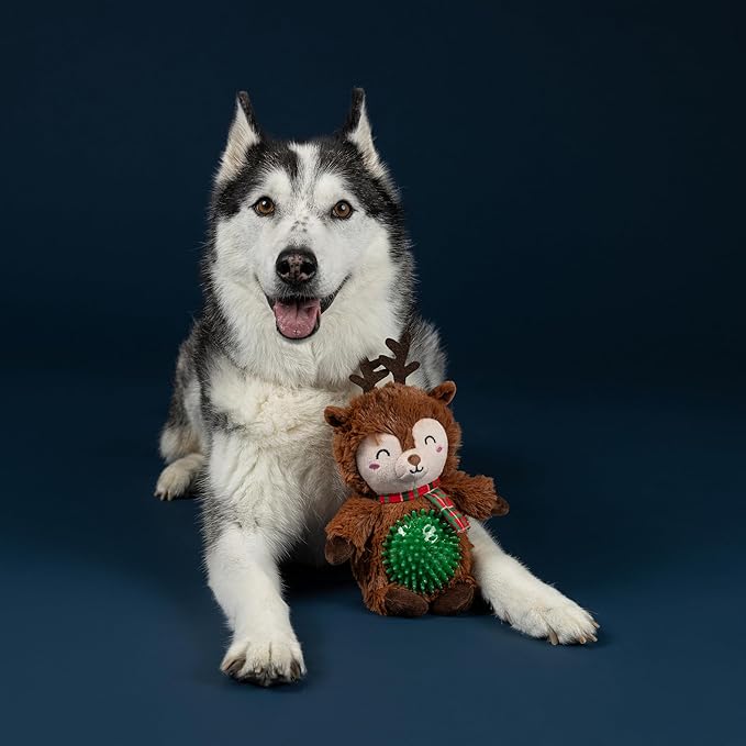 Fringe Studio Pet Toy, REIN IT in, PAL! Reindeer Plush Dog Toy, PetShop Collection (314631)