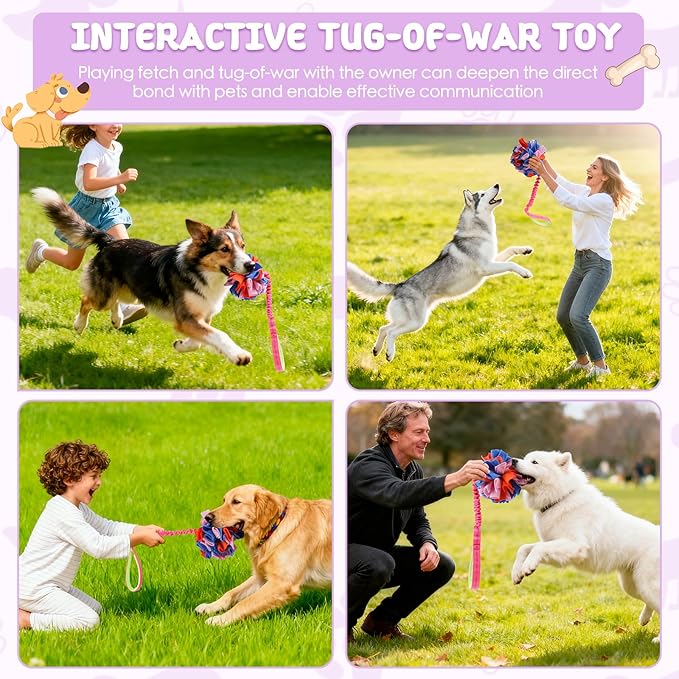 Snuffle Ball with Bungee Tug, Tug of War Rope Toys for Small Medium Dogs, Interactive Dog Toys Puppy Training Pull Toy for Exercise & Interactive Play Games (Purple)
