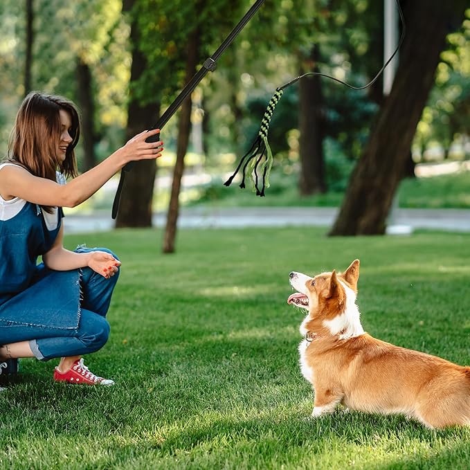 Flirt Pole for Dogs, Interactive Dog Toys Extendable Teaser Wand with Lure Chewing Toy, Chase and Tug of War for Small Medium Large Dogs Training Playing Exercise