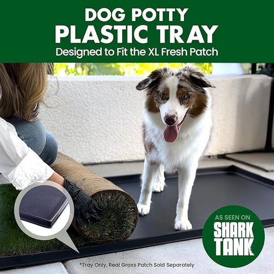 Fresh Patch Plastic Tray for XL Real Grass Pee and Potty Training Pads for Large Dogs and Multi-Dog Households – 4 ft x 2 ft Multi-Purpose and Reusable Crate Tray for Indoor and Outdoor Use