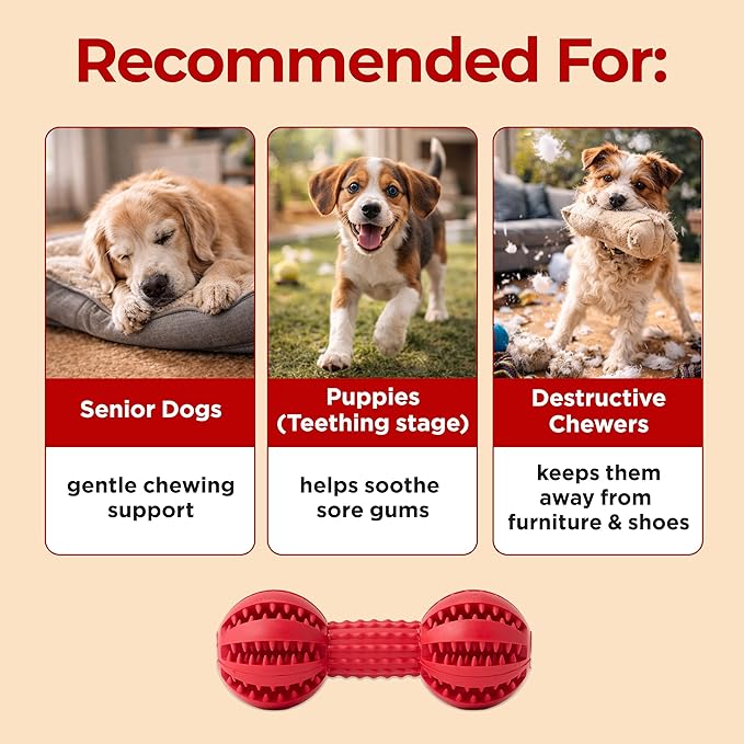 JAYU PET Toothbrush Toy Dog Chew Toy for Aggressive Chewers, Durable Dental Toy for Small & Medium Dogs, Teeth Cleaning Toy to Keep Them Busy, Remove Plaque & Tartar