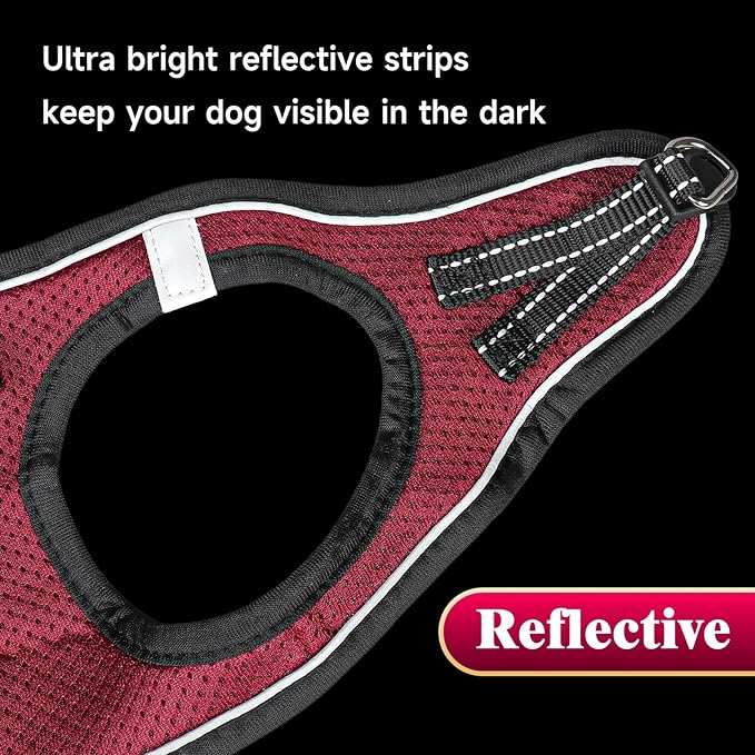 YIMEIS Dog Harness and Leash Set, No Pull Soft Mesh Pet Harness, Reflective Adjustable Puppy Vest for Small Medium Large Dogs, Cats (Grape Purple, X-Small (Pack of 1)