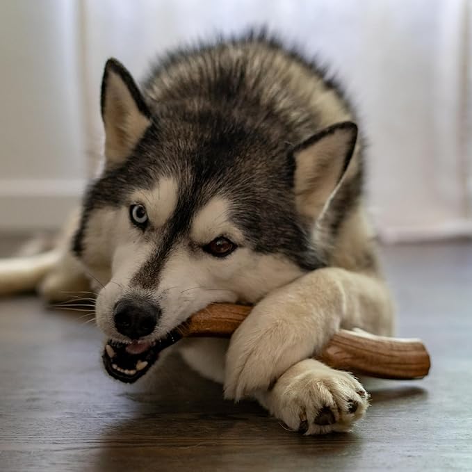 Outward Hound by Petstages Super Dogwood Durable Dog Chew Toy, Medium - Long Lasting Chew Stick Made with Real Wood - USA Made, M