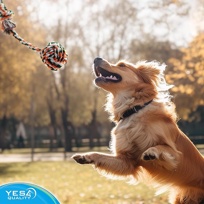 YES4QUALITY Dog Outdoor Bungee Hanging Toy, Blue Interactive Tree Tug Toy Rope w/Metal Spring Kit & 2 Rope Toys, Heavy-Duty Exercise Equipment for Medium & Large Dogs, Tether Tug of War Dog Toys