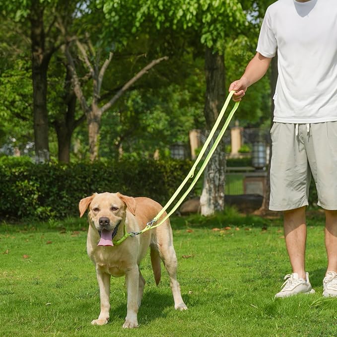 Waterproof Dog Leash with Poop Bag Holder, 5FT/6FT Adjustable Length with 2 Swivel Hooks, Odor-Free & Easy-Clean Dog Lead for Large Medium Small Dogs