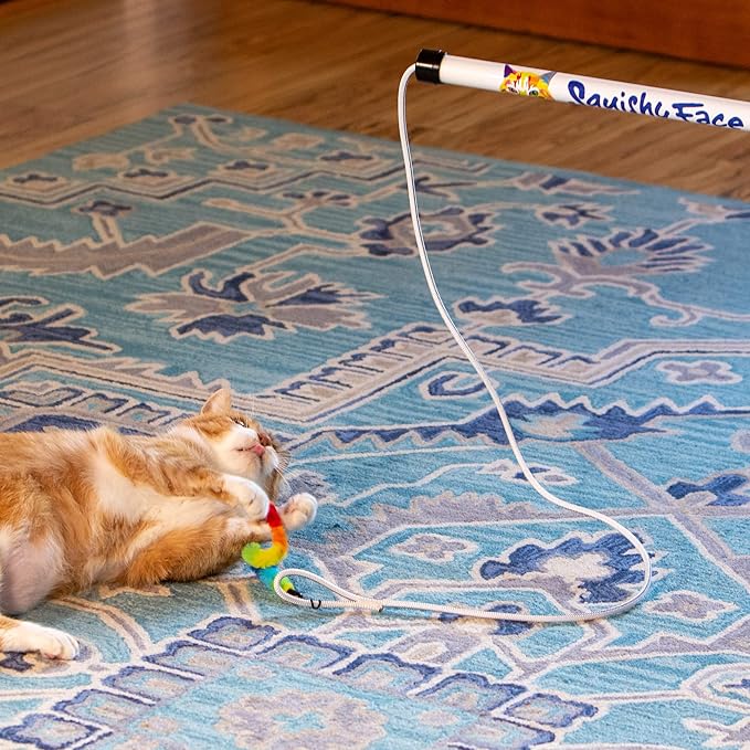 Squishy Face Studio Tough Teaser Interactive Chase Exercise Wand Toy with 2 Lures for Indoor and Outdoor Cats and Kittens