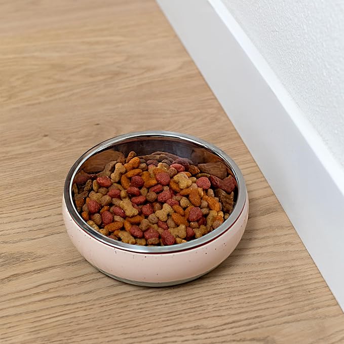 Fringe Studio Speckled Stripe Multi Medium Ceramic Pet Bowl W/Stainless Steel Bowl Insert (6.5" Diameter x 2.5" H, 26 fl.oz.), PetShop Collection (793MD001)