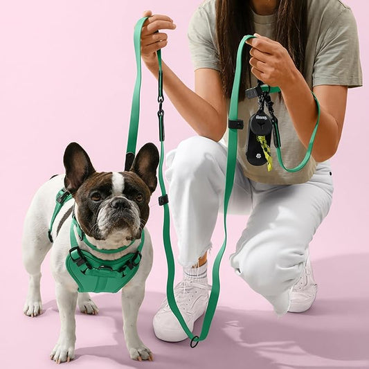 WLK1004K-5SET Luna Small 8FT Adjustable 6-in-1 Waterproof Hands-Free Leash and Collar with LED Flashlight, Bag Dispenser, and Poop Bag Holder, Julep