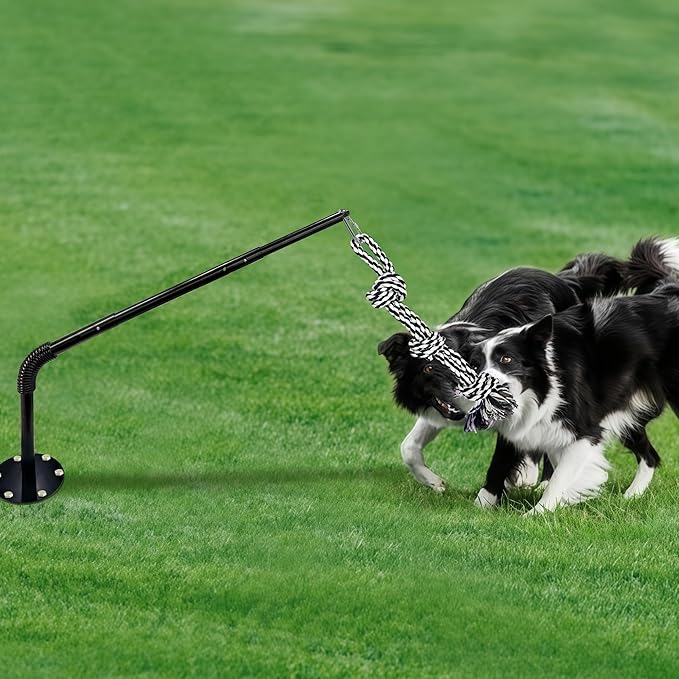 Tether Tug Outdoor Dog Toy, Interactive Exercise Game in Yard, Tether Tug with 2 Rope Toy and Bell for Large Medium Small Dog, Pull Chase and Tug of War