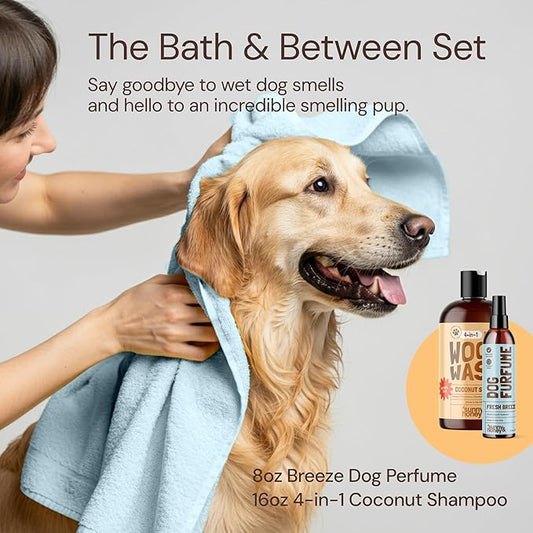 Sunny & Honey 4-in-1 Dog Shampoo & Conditioner - 16 fl oz, 8 fl oz Mist - Moisturizing Detangling Wash - Pet Shampoo - Long-Lasting Perfume Mist