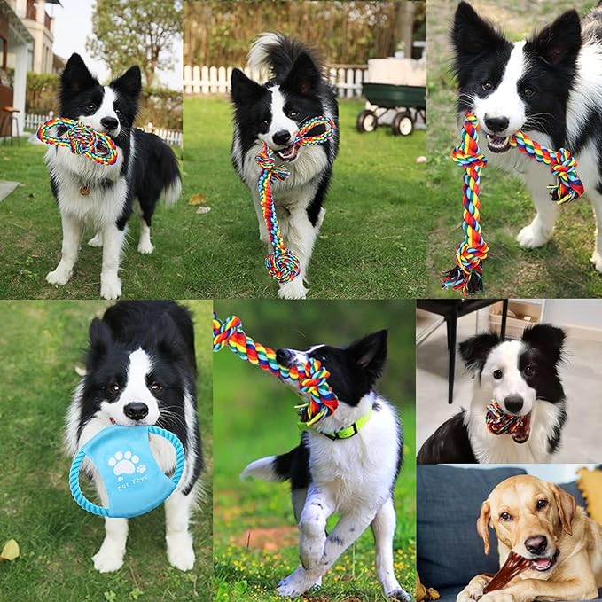 Dog Toys for Aggressive Chewers 13 Pack,Indestructible Tug of War Toys for Small, Medium, Large Dog Breeds, Teeth Cleaning Chew Toys Pet Interactive Rope Toys