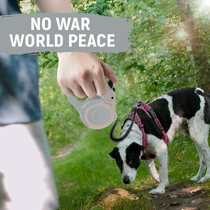 Retractable Dog Leash Automatic Telescopic Tractor Dog Tape, Pet Tape 10/16 FT Durable and Convenient, with Folding Bowl, Dispenser, Rubbish Bags, Suitable for Small and Medium Dogs