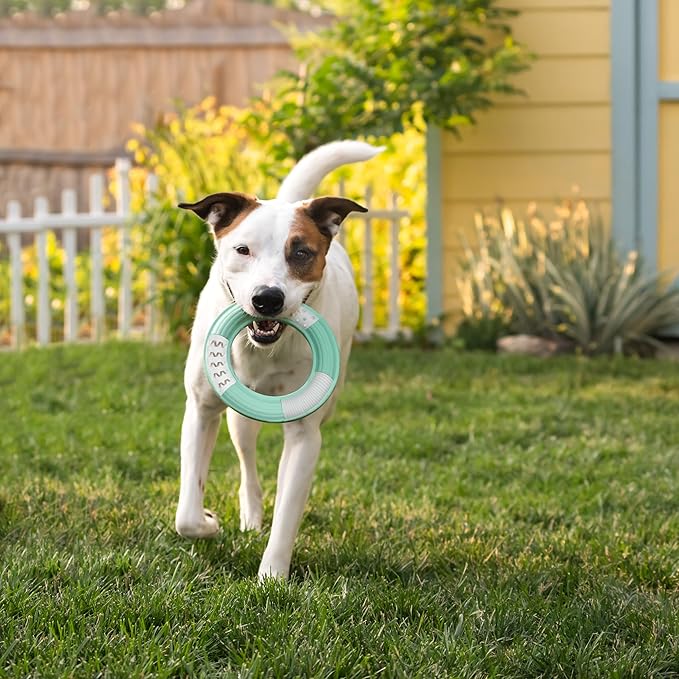 Chew King by Mammoth Dental Dog Toy Collection, Ring Clinically Proven to Remove Plaque