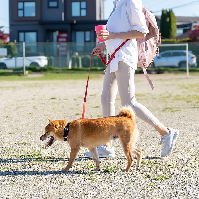 Heavy Duty Hands Free Dog Leash for Medium to Large Dogs for Comfortable Running, Jogging Walking | Dual D-Rings | Soft Padded Traffic Handle | Both Ends 360 Rotating Carabiners (Leash Length 7.7 ft)