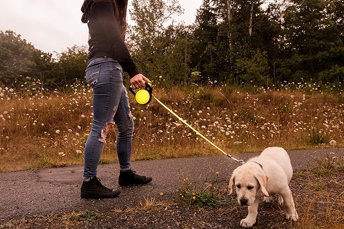 Wigzi Reflective Gel Retractable Leash, Yellow, Large