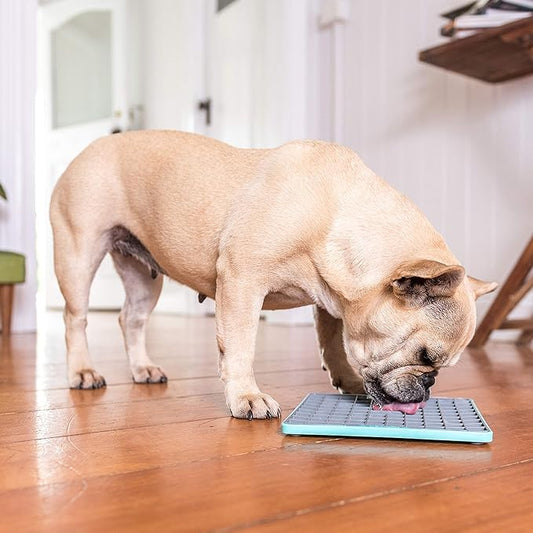 LickiMat Tuff, Heavy-Duty Playdate, Dog Slow Feeder Lick Mat, Boredom Anxiety Reducer; Perfect for Food, Treats, Yogurt, or Peanut Butter, Fun Alternative to a Slow Feed Dog Bowl, Turquoise