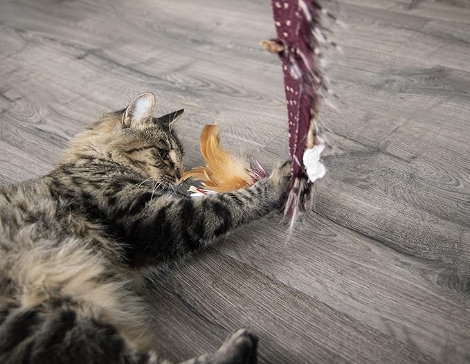 Petlinks Plume Crazy Wand Cat Toy - Randomly Selected Color, One Size