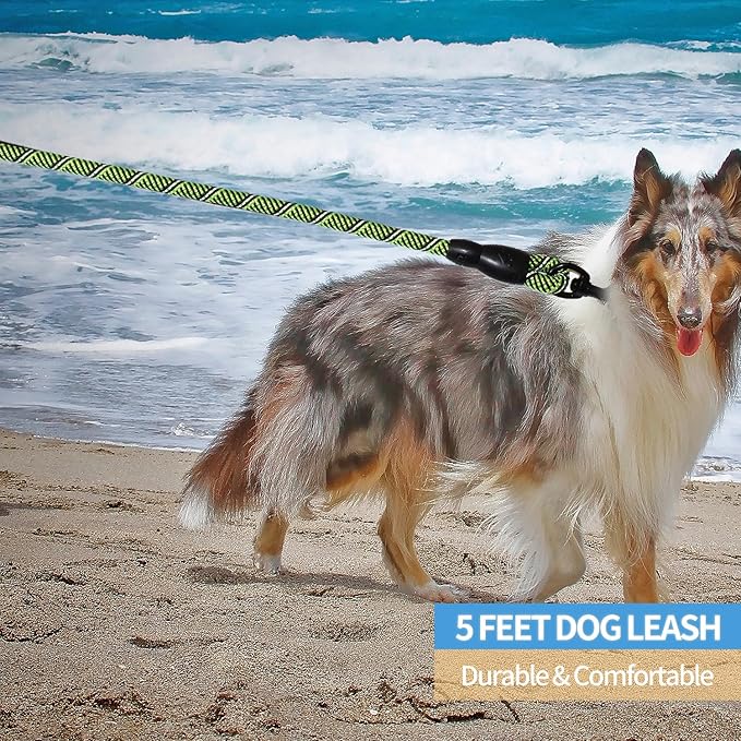 BAAPET 2/4/5/6 FT Dog Leash with Comfortable Padded Handle and Highly Reflective Threads for Small Medium and Large Dogs (5FT-1/2'', Black Green)