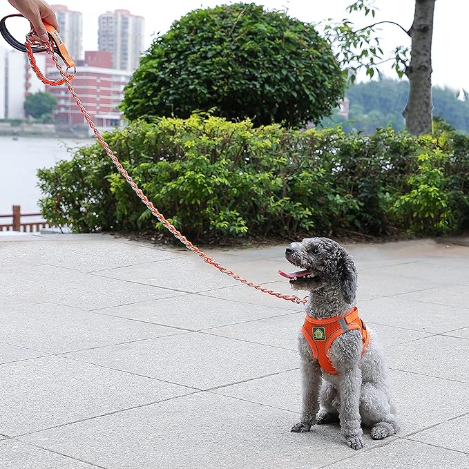 Chain Dog Leash Chew Proof Metal Leash for Medium Large Dogs, Chain Link Dog Anti Chew 5.2FT / 4FT Strong Anti Bite Comfortable Soft Padded Handle (red, 5FT(5-30lb))