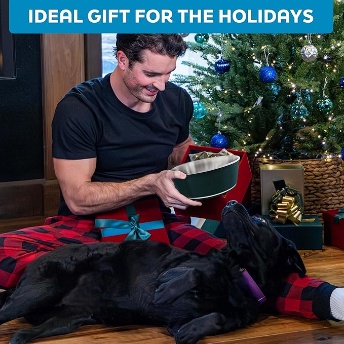 Master Pet Supply Stainless Steel Dog Bowls Set of 2 (32 Oz Each) with Non-Slip Rubber Base - Mango Tango - Basic Dog Food Bowl Water & Food Bowls for Small Medium Large Dogs & Cats, Metal Dish