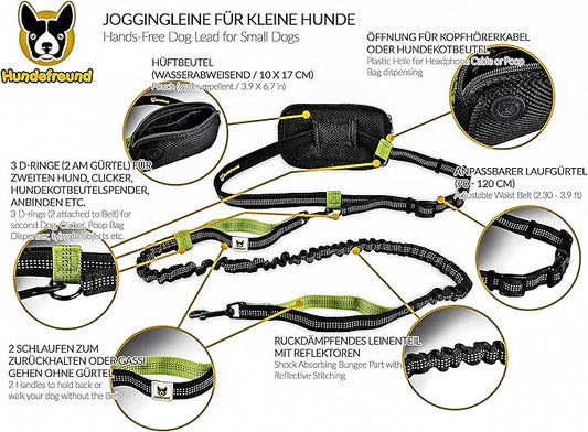 Hundefreund Hands-Free Leash for Small Dogs Under 30 lbs – Lightweight Waist Leash with Soft Bungee (43–63"), Padded Belt (26–47") & Pouch – Dual Handles, Reflective Stitching for Walking & Jogging