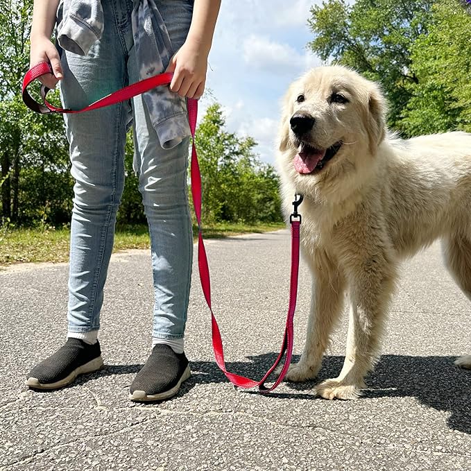 Joytale Dog Leash Heavy Duty for Large Dogs that Pull, Double Handle for Traffic Control, Double-Sided Reflective Leashes for Large Medium Dogs Night Safety, 4FT, Red