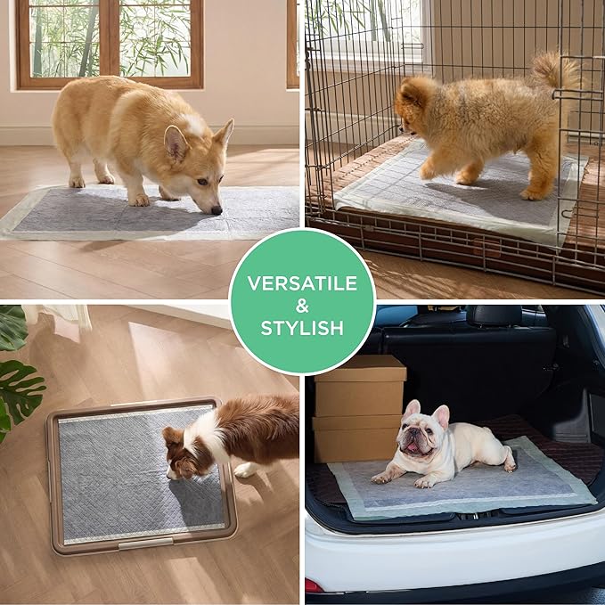 Bedsure Dog Pee Pads Extra Large, 28" x 34" Puppy Pads 30 Count, Super Absorbent & Leak Proof, XL Training Pads Quick Dry Disposable Potty Pads with Odor-Control Activated Carbon & ECO Green Material