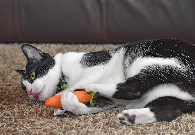 OurPet's 100-Percent North American Catnip Filled Carrot Cat Toy 24 Karat (Pack of 2)