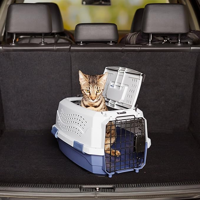 Amazon Basics 2-Door Top-Load Hard-Sided Pet Travel Carrier for Cats and Small Dogs, 19" L x 12.6" W x 10" H, Gray & Blue