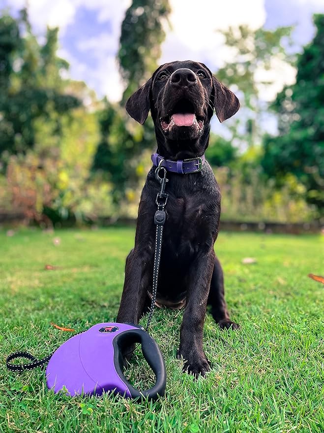 Tuff Pupper Heavy Duty Retractable Dog Leash | 16 ft Dog Leash with Reflective Stitching for Nighttime Safety | One Button Lock and Release | Comfortable Hand Grip | for Dogs Up to 120 lbs