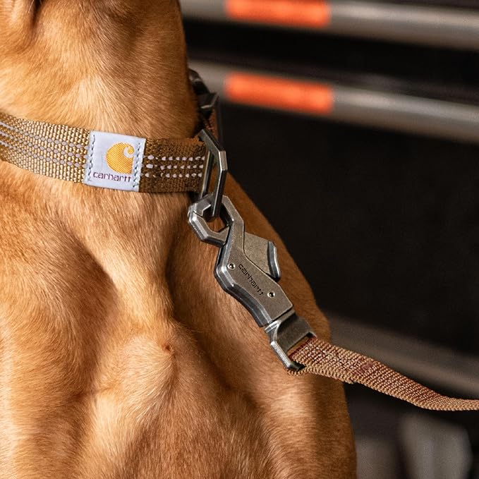 Carhartt Pet Durable Nylon Webbing Leashes for Dogs, Reflective Stitching for Visibility, Coral Glow (Nylon Webbing), Large