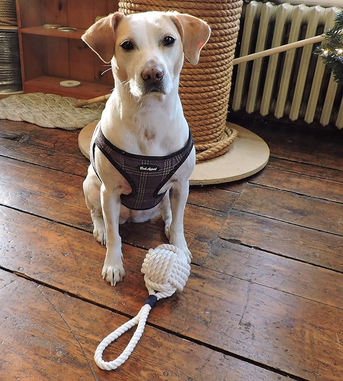 Nautical Knot Ball Cotton Rope Dog Toy