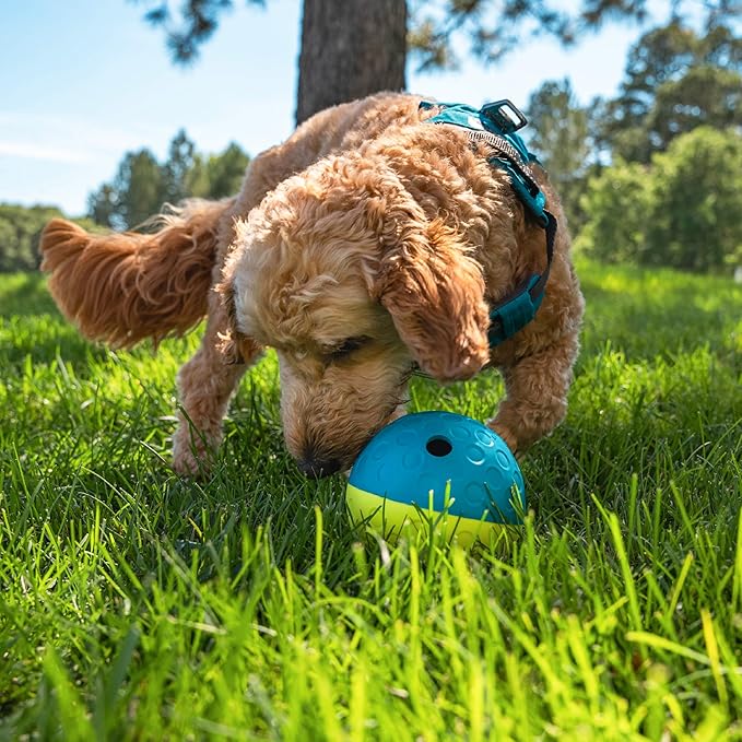 Outward Hound by Nina Ottosson Treat Tumble – Interactive Food-Dispensing Dog Puzzle Ball, Level 1 Beginner, Small, 4.8"