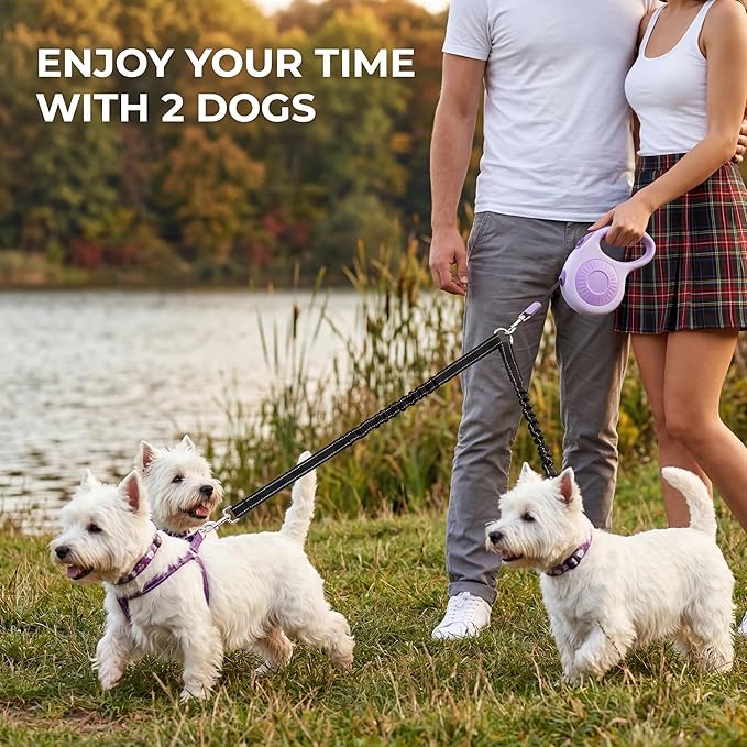 Double Dog Leash for Walking 2 Small Dogs (Up to 33 Lbs Each), Dual Retractable 9.8ft Extendable Strong Nylon Tape Pet Leash with Poop Bags, One-Handed Brake, Pause, Lock (Purple)