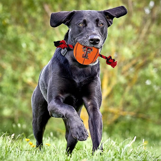 NCAA Texas TECH RED Raiders Basketball Rope Toy for Dogs & Cats. Tough Nylon, Sporty Basketball Design, Heavy-Duty Ropes with Inner Squeaker