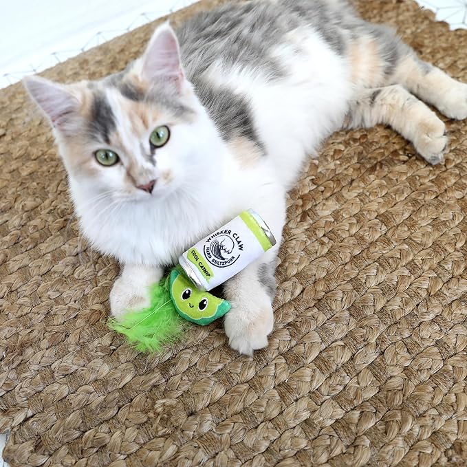 Quirky Kitty Whisker Claw & Lime Catnip Crinkle Plush Cat Toy, Pack of 2 | Soft Plush Toys with Textured Crinkle Sound | Enriched with Premium Catnip