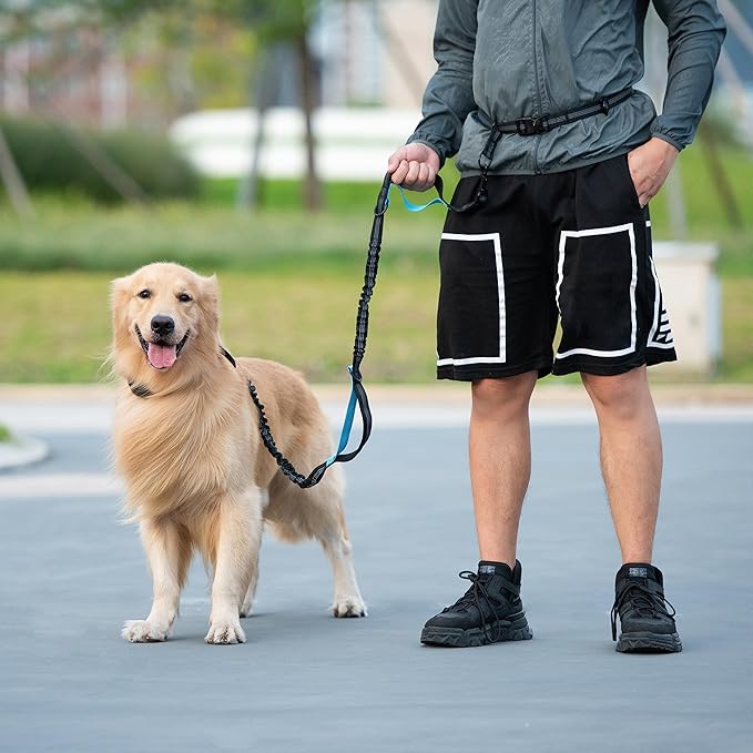 iYoShop Hands Free Dog Leash with Zipper Pouch, Dual Padded Handles and Durable Bungee for Walking, Jogging and Running Your Dog (Green Heart, Large)