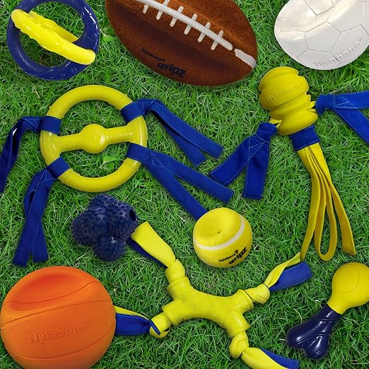 Nylabone Power Play Crazy Ball Interactive Play Toy, Fetch Ball Toy for Dogs, Large (1 Count) - Image 12