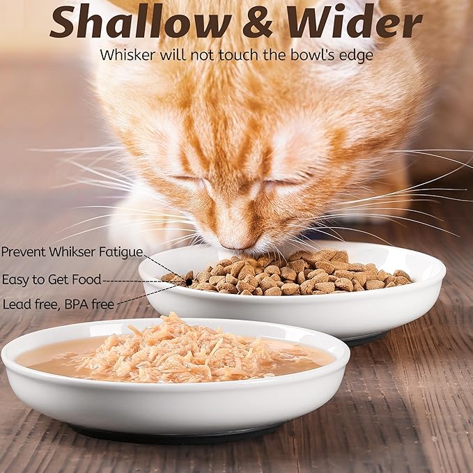 WROSWT No Spill Cat Bowls
