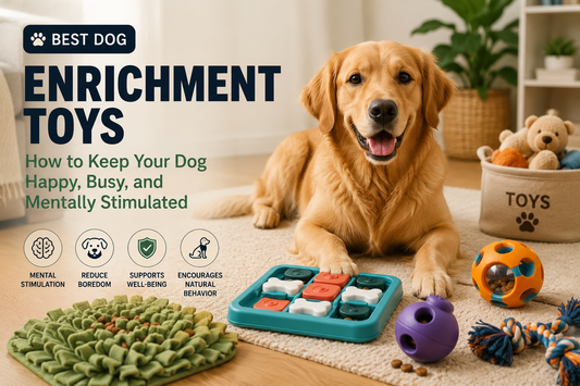 Best Dog Enrichment Toys: How to Keep Your Dog Happy, Busy, and Mentally Stimulated
