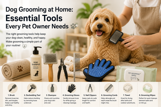 Dog Grooming at Home: Essential Tools Every Pet Owner Needs
