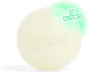 Chuckit! Max Glowin the Dark Bouncy Ball for Dogs, Large 3in, 1 Pack by Chuckit