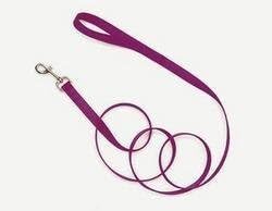 Single-Ply Leash for Dogs by Coastal