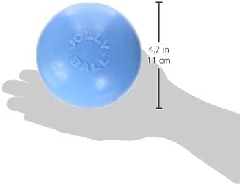 Jolly Pets Toys 881157 Jolly Bounce-N-Play Dog Toy, 4.5-Inch, Blueberry