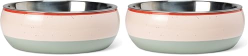 Fringe Studio Speckled Stripe Multi Medium Ceramic Pet Bowl W/Stainless Steel Bowl Insert (6.5" Diameter x 2.5" H, 26 fl.oz.), PetShop Collection (793MD001) (Pack of 2) by FringeStudio