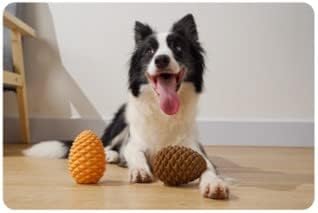 Mewajump Heavy Duty Pinecone Durable Natural Rubber Dental Teeth Cleaning Dog Feeder Chew Toy for Large and Medium Dogs- Insert Food or Treats Inside!